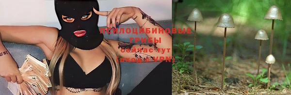 винт Алексин