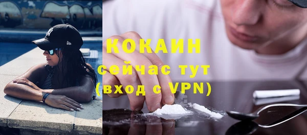 винт Алексин