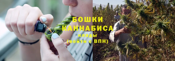 ПСИЛОЦИБИНОВЫЕ ГРИБЫ Алексеевка