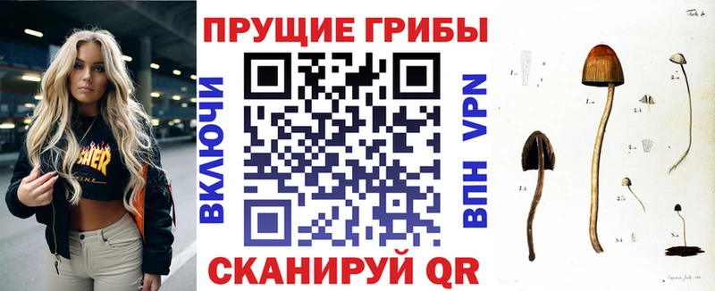 Галлюциногенные грибы прущие грибы  Камбарка 